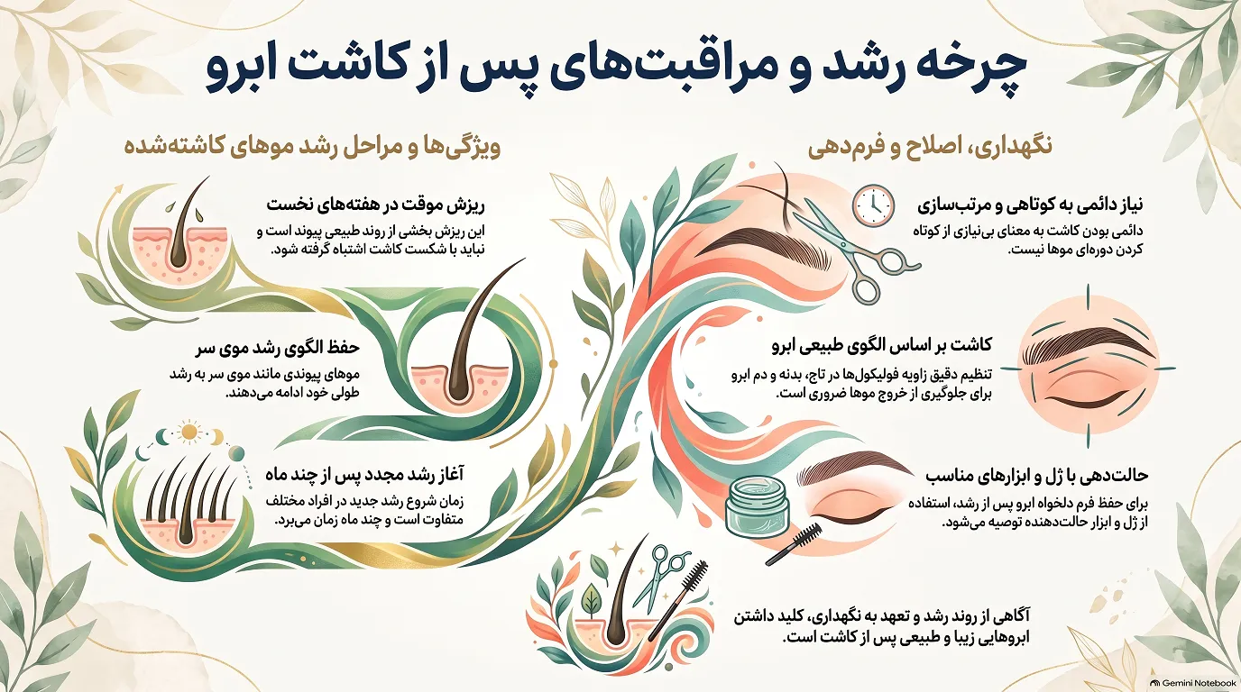 چرخه رشد و مراقبت از کاشت ابرو